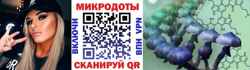 Галлюциногенные грибы мицелий  Арсеньев 